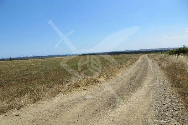 Plot in Oblast Burgas, Kosharica