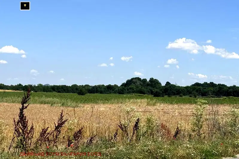 Plot in Oblast Plovdiv, Kostievo