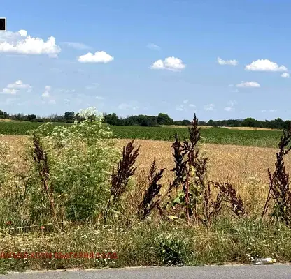 Photo 3 — Plot in Oblast Plovdiv, Kostievo