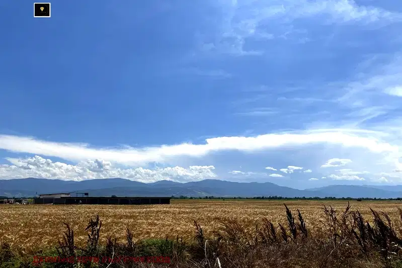 Plot in Oblast Plovdiv, Kostievo