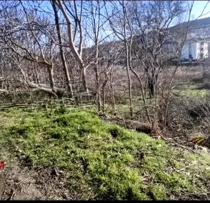 Снимка 3 — Парцел в Добрич, с. Кранево