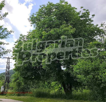 Photo 2 — Plot in Oblast Gabrovo, Kryvenik