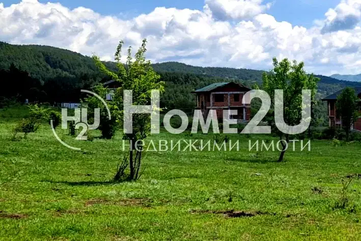 Plot in Kytina