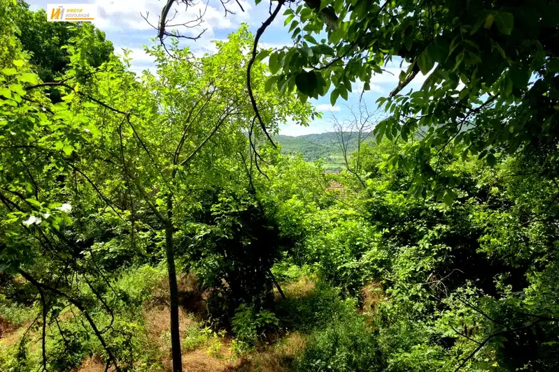 Парцел във Велико Търново, с. Леденик