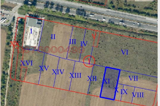 Plot in Lozen