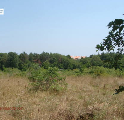 Снимка 4 — Парцел в Бургас, с. Лозенец