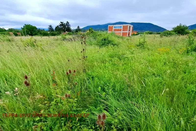 Plot in Malo Buchino