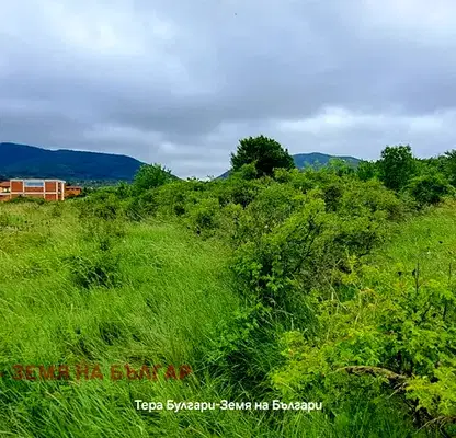 Photo 3 — Plot in Malo Buchino