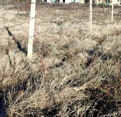 Photo 4 — Plot in Oblast Plovdiv, Markovo
