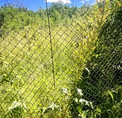 Photo 2 — Plot in Oblast Burgas, Medovo