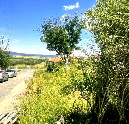 Photo 3 — Plot in Oblast Burgas, Medovo