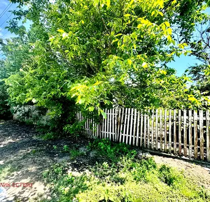 Photo 2 — Plot in Oblast Dobrich, Metodievo