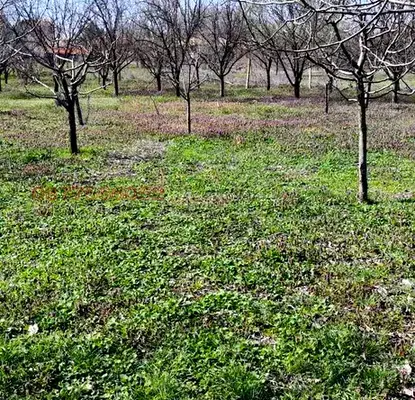 Снимка 3 — Парцел в Стара Загора, с. Михайлово