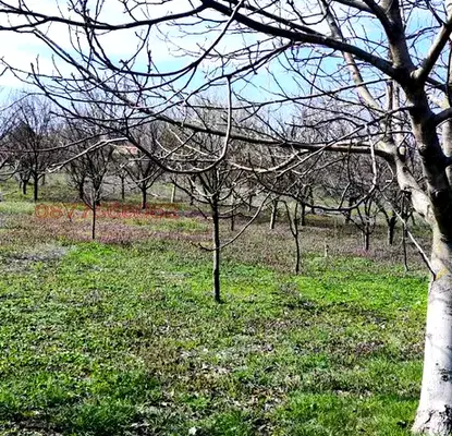 Снимка 4 — Парцел в Стара Загора, с. Михайлово