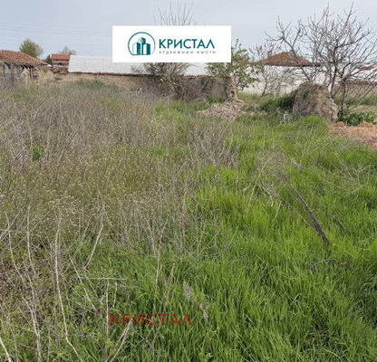 Снимка 5 — Парцел в Пловдив, с. Милево