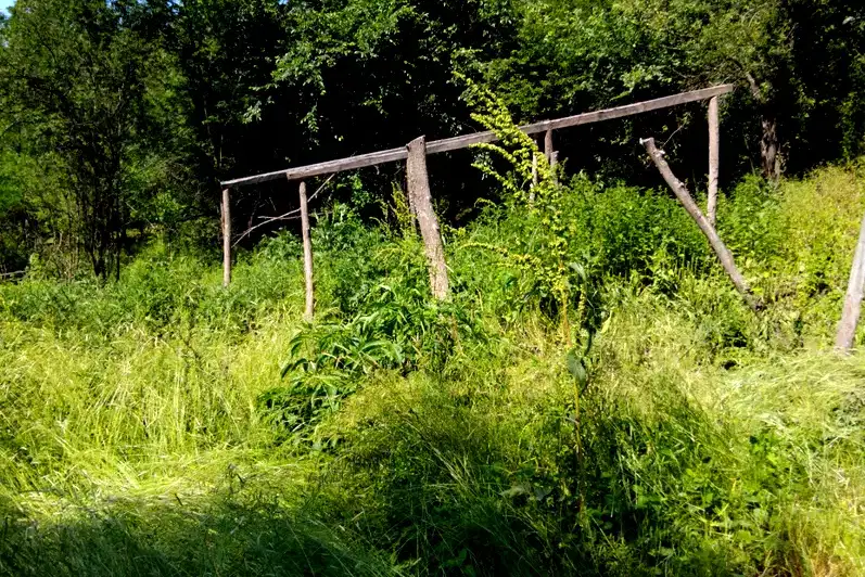 Plot in Kyustendil, Mlamolovo