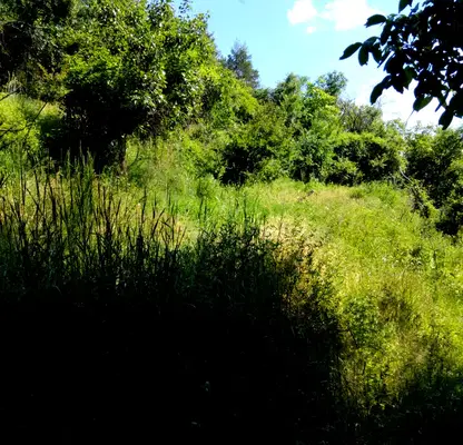 Photo 2 — Plot in Kyustendil, Mlamolovo