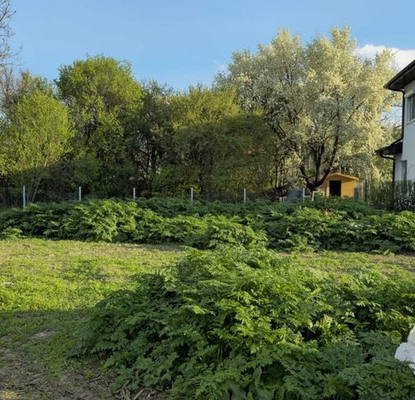 Photo 2 — Plot in област София, Musachevo