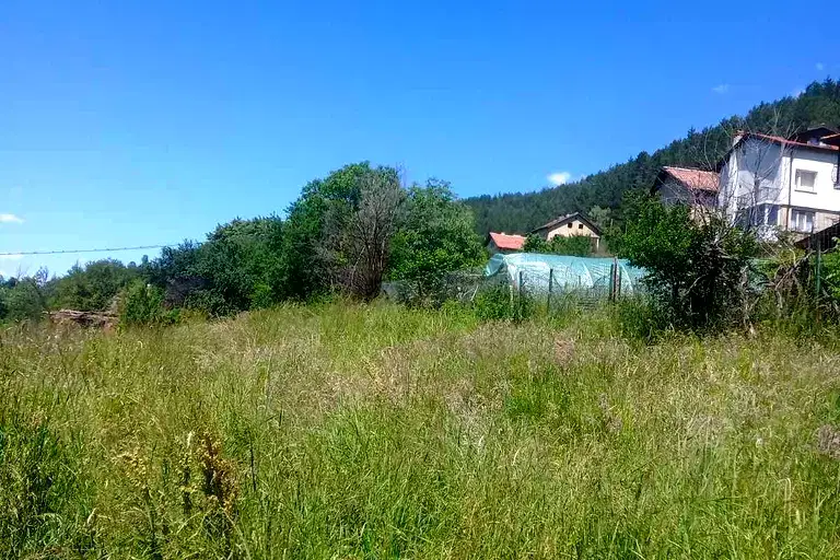 Plot in Myrchaevo