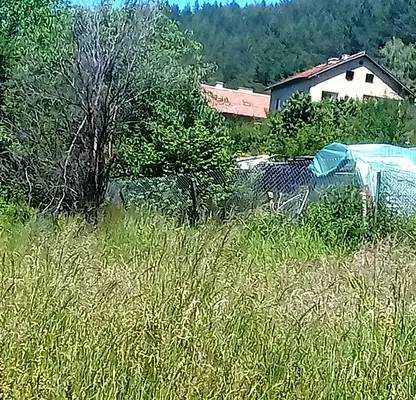 Photo 4 — Plot in Myrchaevo