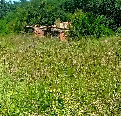 Photo 5 — Plot in Myrchaevo
