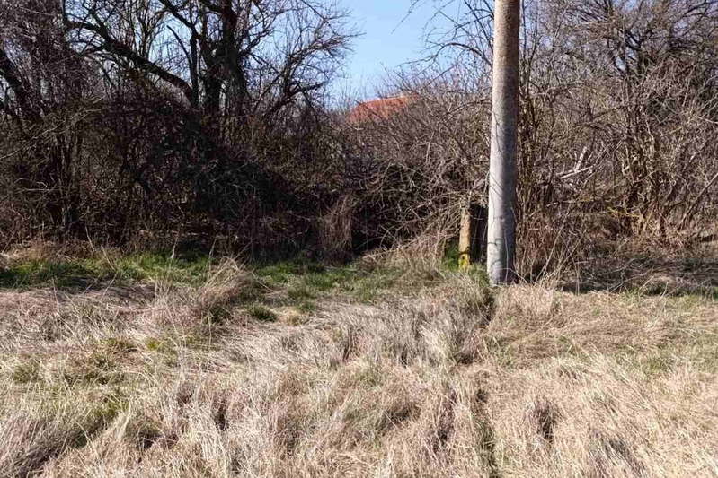 Plot in Oblast Pernik, Negovanci