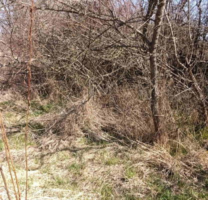 Photo 3 — Plot in Oblast Pernik, Negovanci