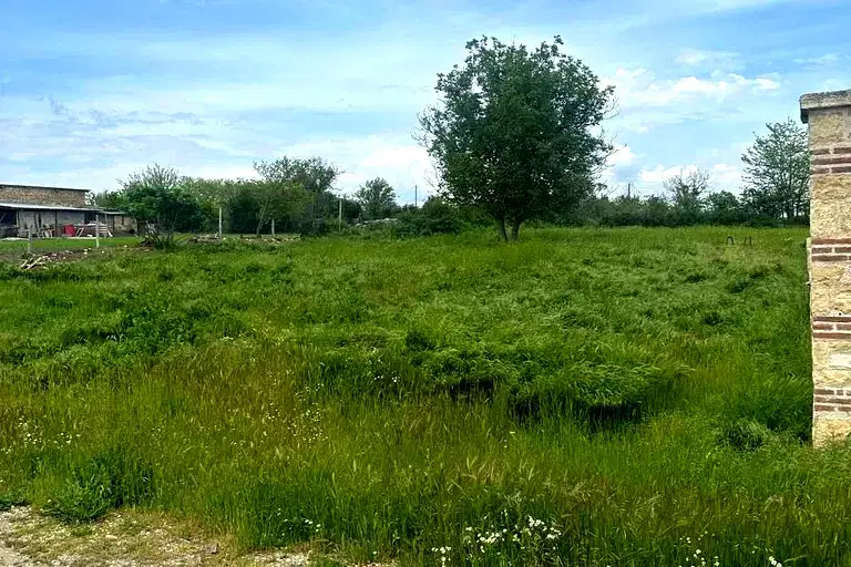 Plot in Oblast Varna, Neofit Rilski