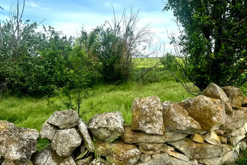 Plot in Oblast Varna, Neofit Rilski
