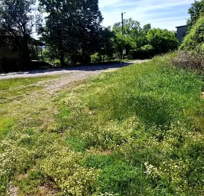 Photo 4 — Plot in Oblast Pernik, Nikolaevo