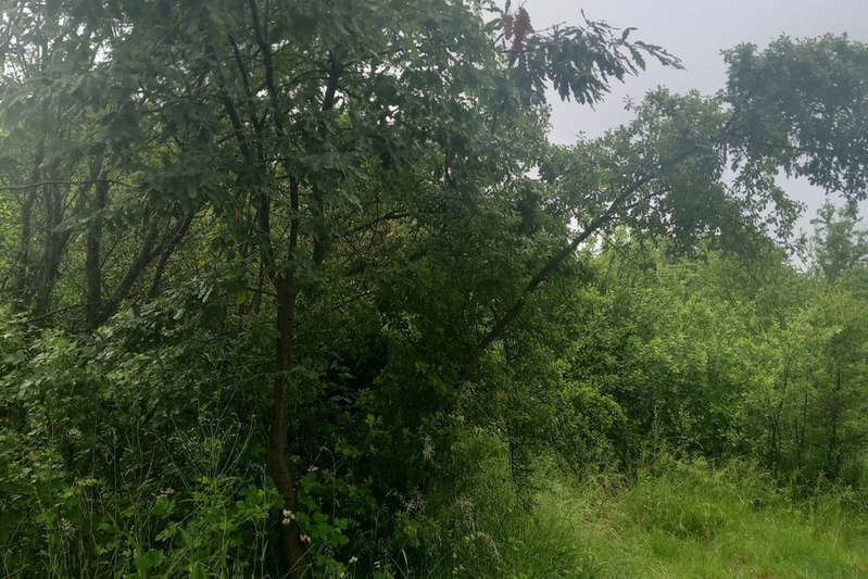 Plot in област София, Novi Han