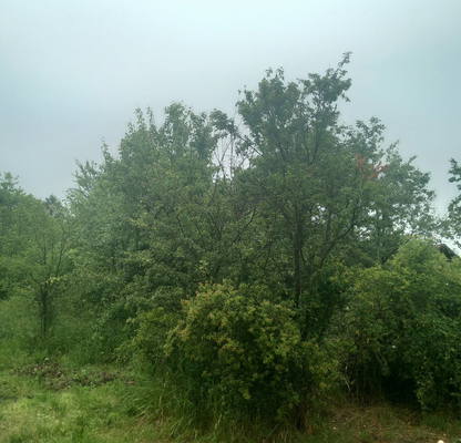 Photo 2 — Plot in област София, Novi Han