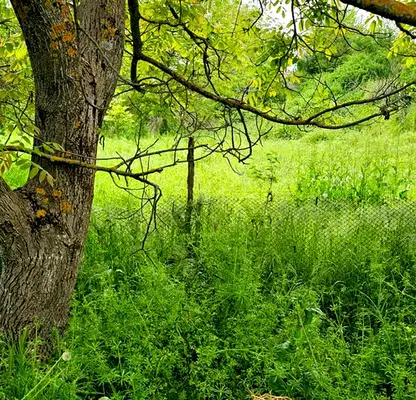 Photo 5 — Plot in Plovdiv, Otec Paisievo