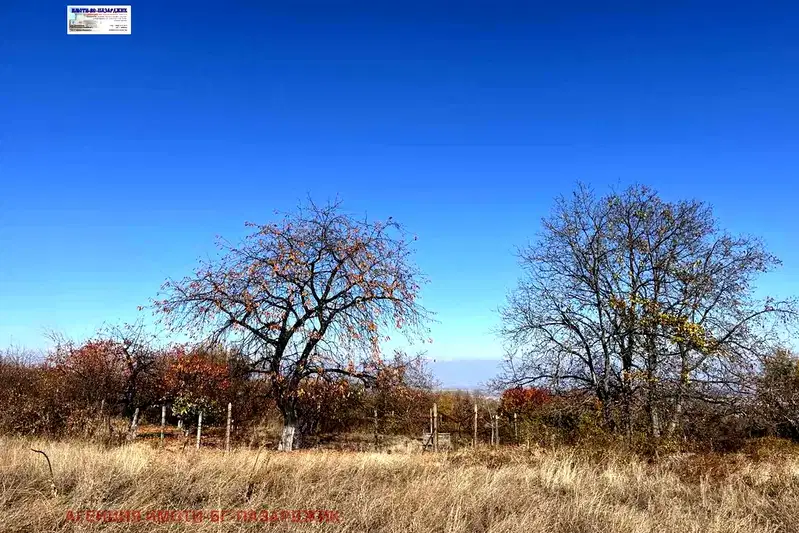 Plot in Oblast Pazardjik, Patalenica