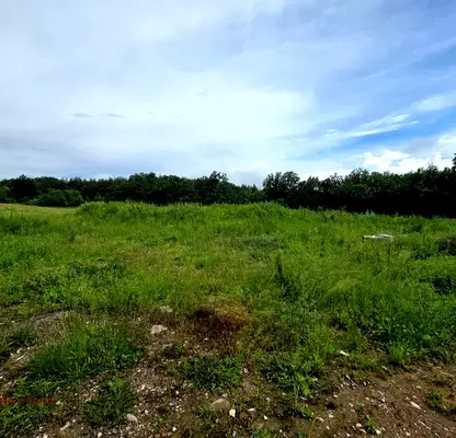Photo 3 — Plot in Oblast Lovech, с. Патрешко