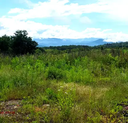 Photo 5 — Plot in Oblast Lovech, с. Патрешко