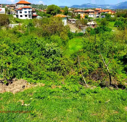 Снимка 5 — Парцел в Кърджали, с. Петлино