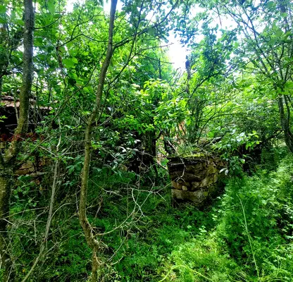 Снимка 5 — Парцел в София, с. Понор