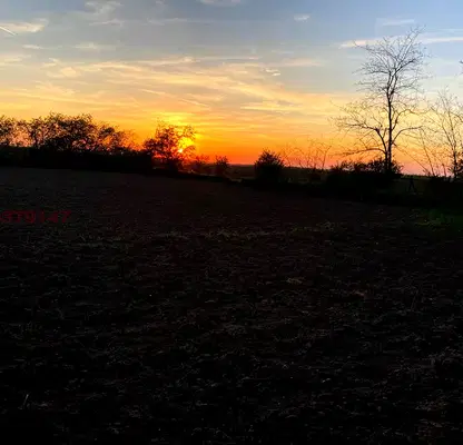 Photo 2 — Plot in Oblast Silistra, с. Поройно