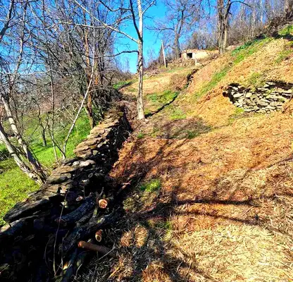 Photo 4 — Plot in Oblast Lovech, Presyaka