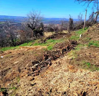Photo 5 — Plot in Oblast Lovech, Presyaka