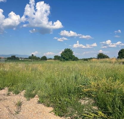 Photo 2 — Plot in област София, Prolesha