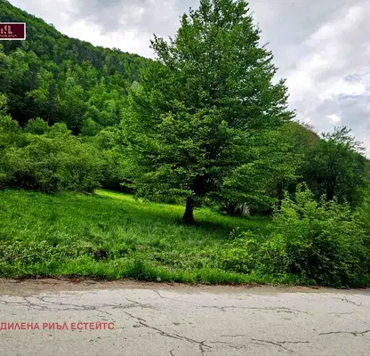 Photo 5 — Plot in Oblast Lovech, Ribarica