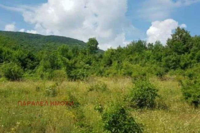 Парцел в Пловдив, с. Руен