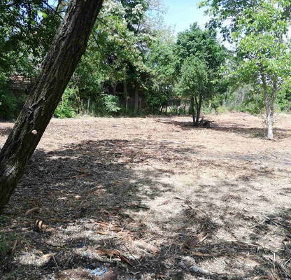 Photo 2 — Plot in Veliko Tyrnovo, Samovodene