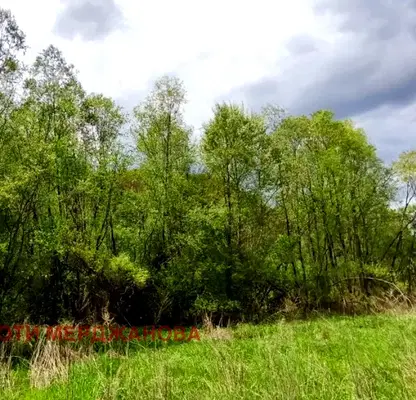 Снимка 5 — Парцел в Стара Загора, с. Селце