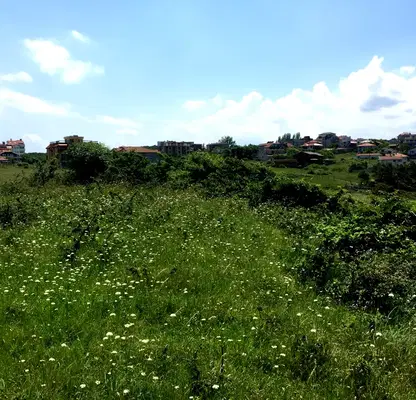 Photo 3 — Plot in Oblast Burgas, Sinemorec