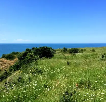 Photo 4 — Plot in Oblast Burgas, Sinemorec
