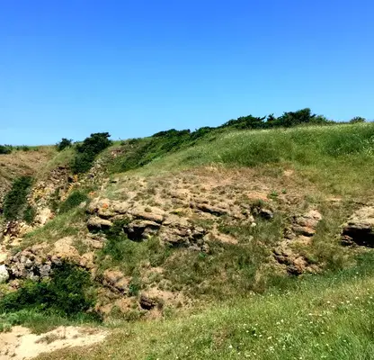 Photo 5 — Plot in Oblast Burgas, Sinemorec