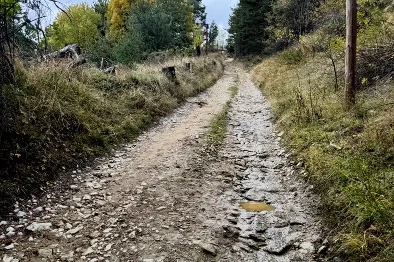 Plot in Oblast Plovdiv, Sitovo